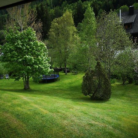 B1 Albmatte-Fewo Sauna, Hallenbad Aussenbecken Massagen Nebenan Menzenschwand-Hinterdorf Dış mekan fotoğraf
