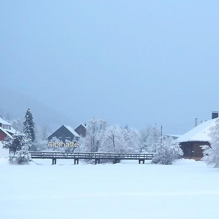 B1 Albmatte-Fewo Sauna, Hallenbad Aussenbecken Massagen Nebenan Menzenschwand-Hinterdorf Dış mekan fotoğraf