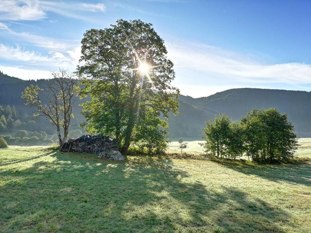 B1 Albmatte-Fewo Sauna, Hallenbad Aussenbecken Massagen Nebenan Menzenschwand-Hinterdorf Dış mekan fotoğraf
