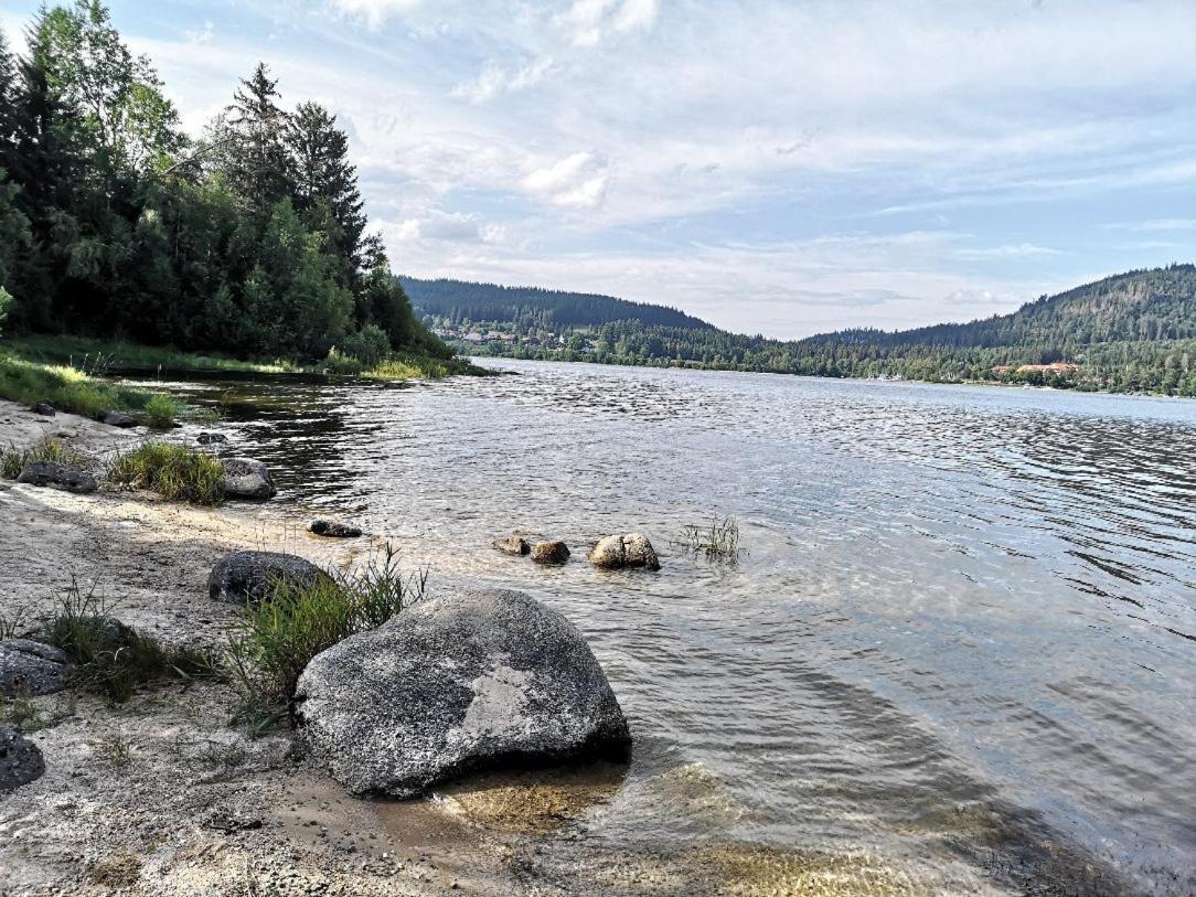 B1 Albmatte-Fewo Sauna, Hallenbad Aussenbecken Massagen Nebenan Menzenschwand-Hinterdorf Dış mekan fotoğraf