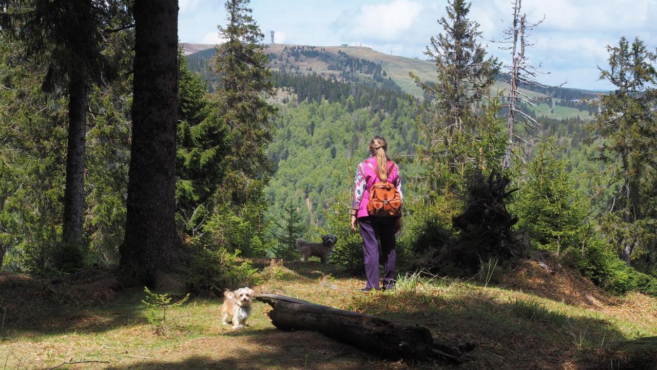 B1 Albmatte-Fewo Sauna, Hallenbad Aussenbecken Massagen Nebenan Menzenschwand-Hinterdorf Dış mekan fotoğraf