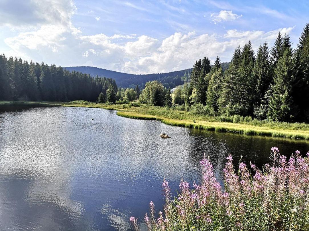 B1 Albmatte-Fewo Sauna, Hallenbad Aussenbecken Massagen Nebenan Menzenschwand-Hinterdorf Dış mekan fotoğraf