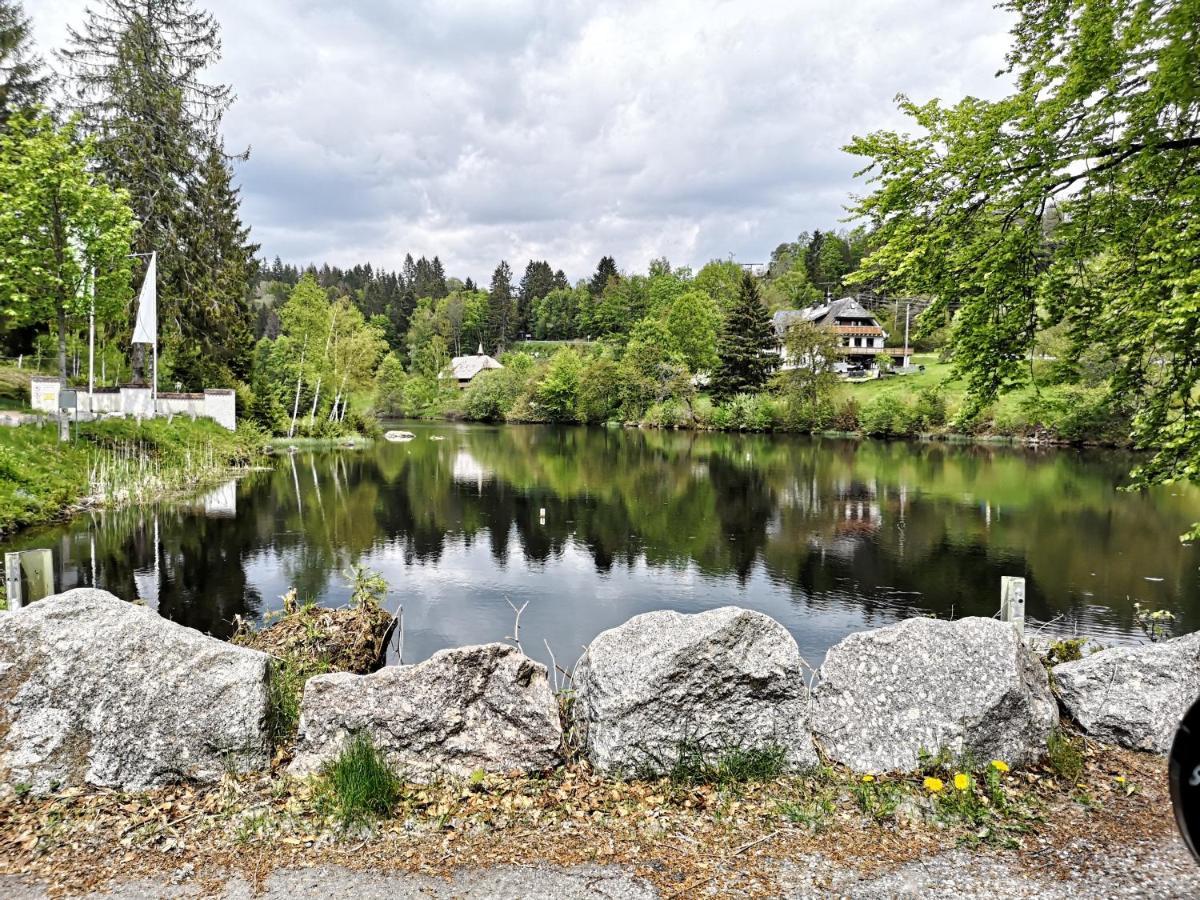 B1 Albmatte-Fewo Sauna, Hallenbad Aussenbecken Massagen Nebenan Menzenschwand-Hinterdorf Dış mekan fotoğraf