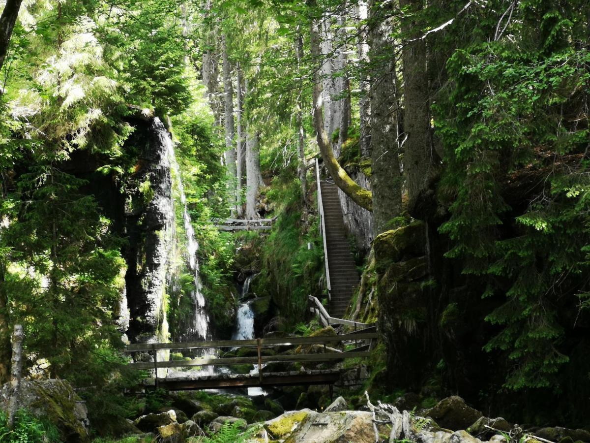 B1 Albmatte-Fewo Sauna, Hallenbad Aussenbecken Massagen Nebenan Menzenschwand-Hinterdorf Dış mekan fotoğraf