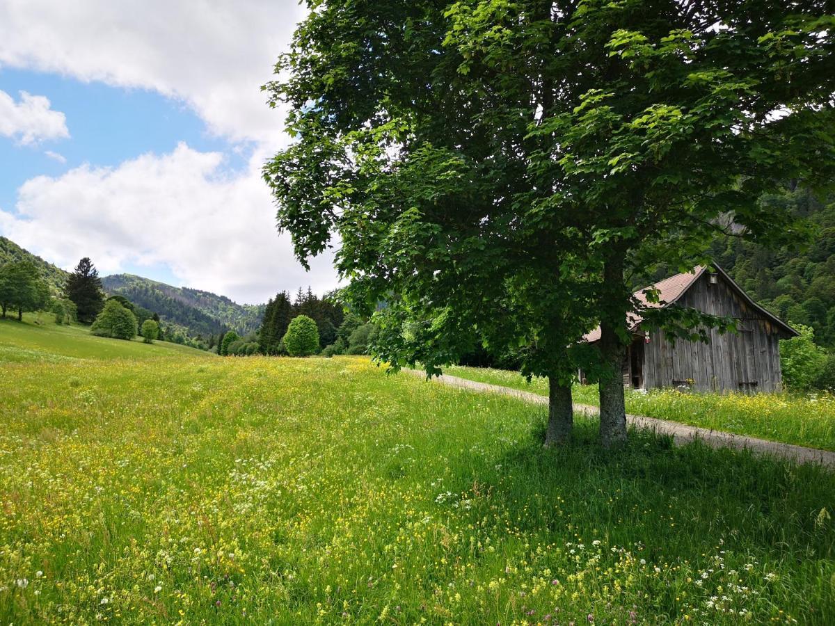 B1 Albmatte-Fewo Sauna, Hallenbad Aussenbecken Massagen Nebenan Menzenschwand-Hinterdorf Dış mekan fotoğraf
