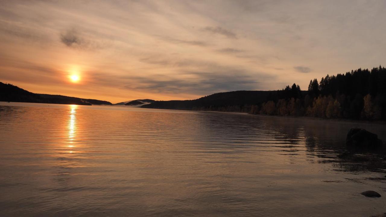 B1 Albmatte-Fewo Sauna, Hallenbad Aussenbecken Massagen Nebenan Menzenschwand-Hinterdorf Dış mekan fotoğraf