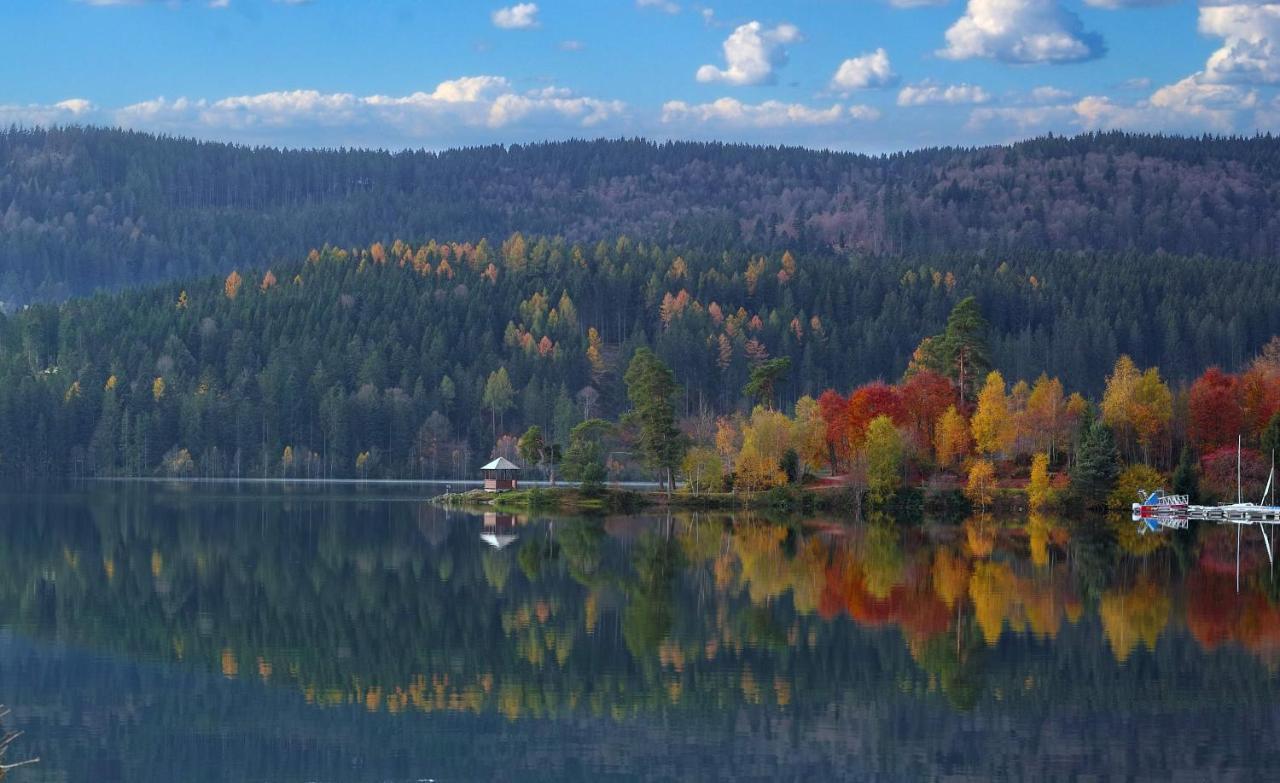 B1 Albmatte-Fewo Sauna, Hallenbad Aussenbecken Massagen Nebenan Menzenschwand-Hinterdorf Dış mekan fotoğraf