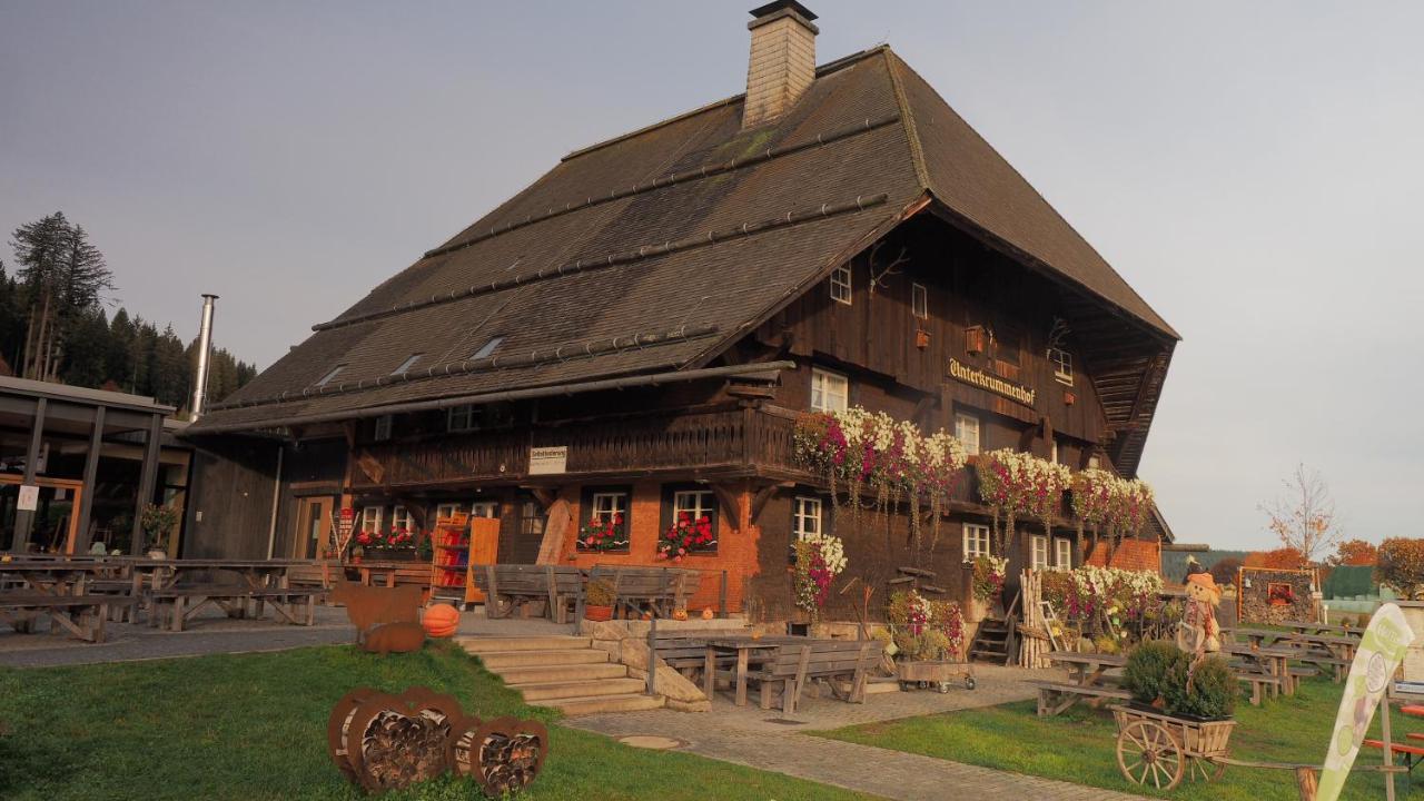 B1 Albmatte-Fewo Sauna, Hallenbad Aussenbecken Massagen Nebenan Menzenschwand-Hinterdorf Dış mekan fotoğraf