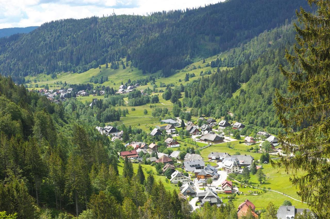 B1 Albmatte-Fewo Sauna, Hallenbad Aussenbecken Massagen Nebenan Menzenschwand-Hinterdorf Dış mekan fotoğraf