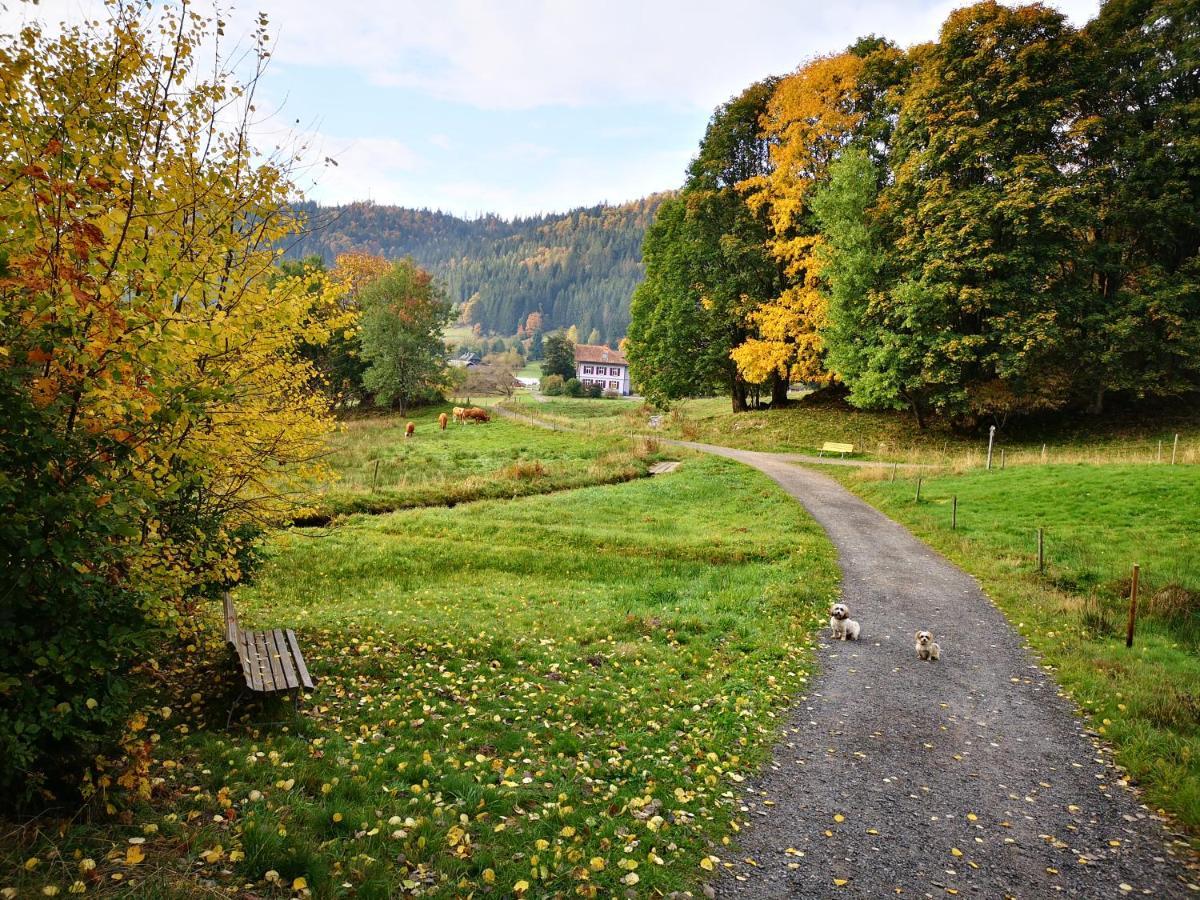 B1 Albmatte-Fewo Sauna, Hallenbad Aussenbecken Massagen Nebenan Menzenschwand-Hinterdorf Dış mekan fotoğraf
