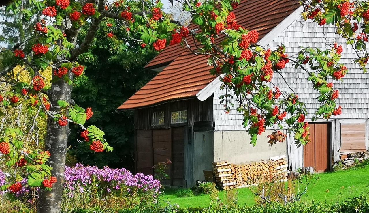 B1 Albmatte-Fewo Sauna, Hallenbad Aussenbecken Massagen Nebenan Menzenschwand-Hinterdorf Dış mekan fotoğraf