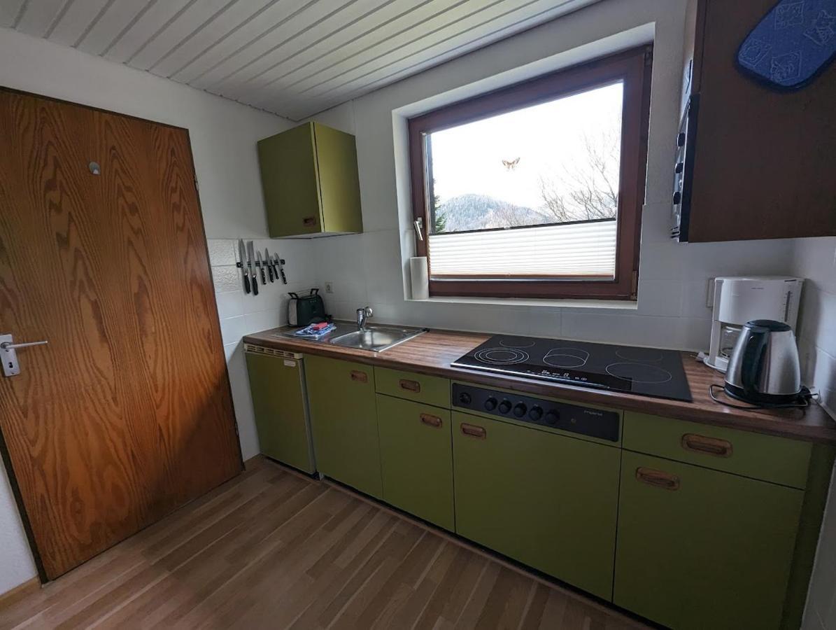 B1 Albmatte-Fewo Sauna, Hallenbad Aussenbecken Massagen Nebenan Menzenschwand-Hinterdorf Dış mekan fotoğraf