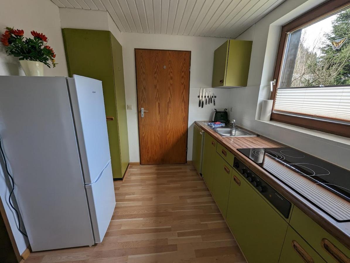 B1 Albmatte-Fewo Sauna, Hallenbad Aussenbecken Massagen Nebenan Menzenschwand-Hinterdorf Dış mekan fotoğraf