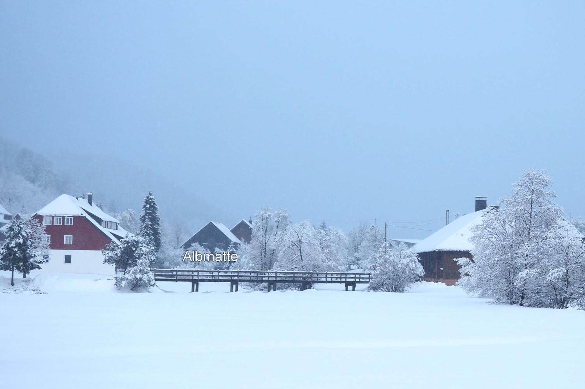 B1 Albmatte-Fewo Sauna, Hallenbad Aussenbecken Massagen Nebenan Menzenschwand-Hinterdorf Dış mekan fotoğraf