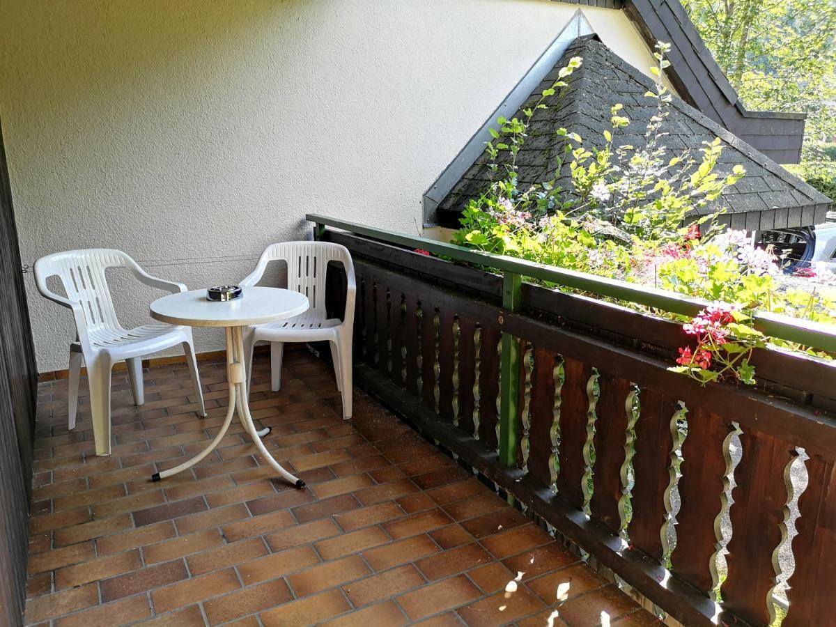 B1 Albmatte-Fewo Sauna, Hallenbad Aussenbecken Massagen Nebenan Menzenschwand-Hinterdorf Dış mekan fotoğraf