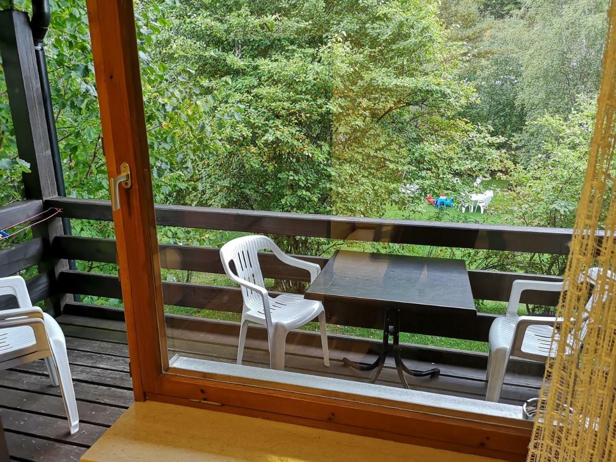 B1 Albmatte-Fewo Sauna, Hallenbad Aussenbecken Massagen Nebenan Menzenschwand-Hinterdorf Dış mekan fotoğraf