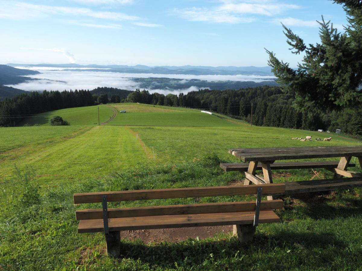 B1 Albmatte-Fewo Sauna, Hallenbad Aussenbecken Massagen Nebenan Menzenschwand-Hinterdorf Dış mekan fotoğraf