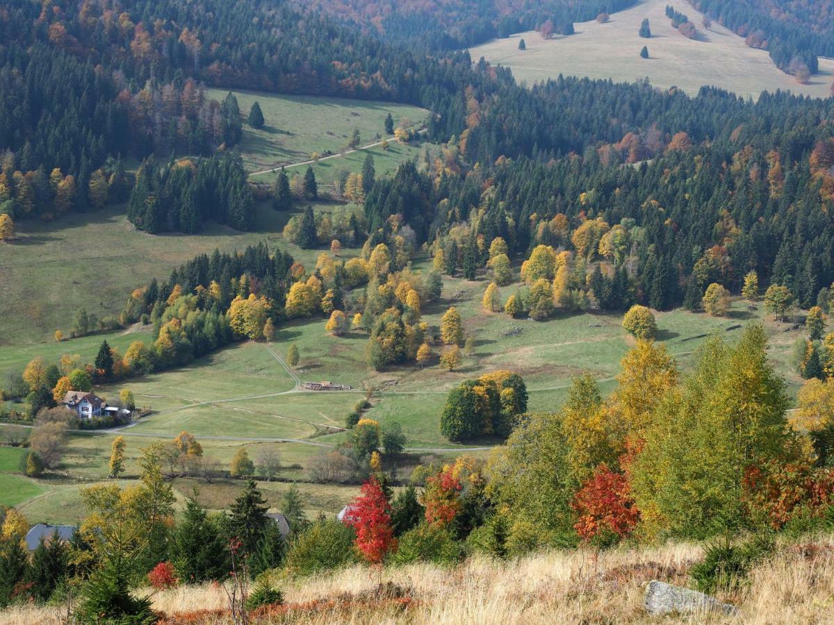 B1 Albmatte-Fewo Sauna, Hallenbad Aussenbecken Massagen Nebenan Menzenschwand-Hinterdorf Dış mekan fotoğraf