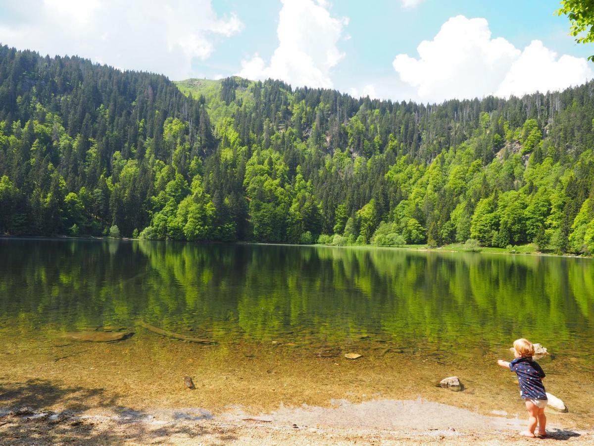 B1 Albmatte-Fewo Sauna, Hallenbad Aussenbecken Massagen Nebenan Menzenschwand-Hinterdorf Dış mekan fotoğraf