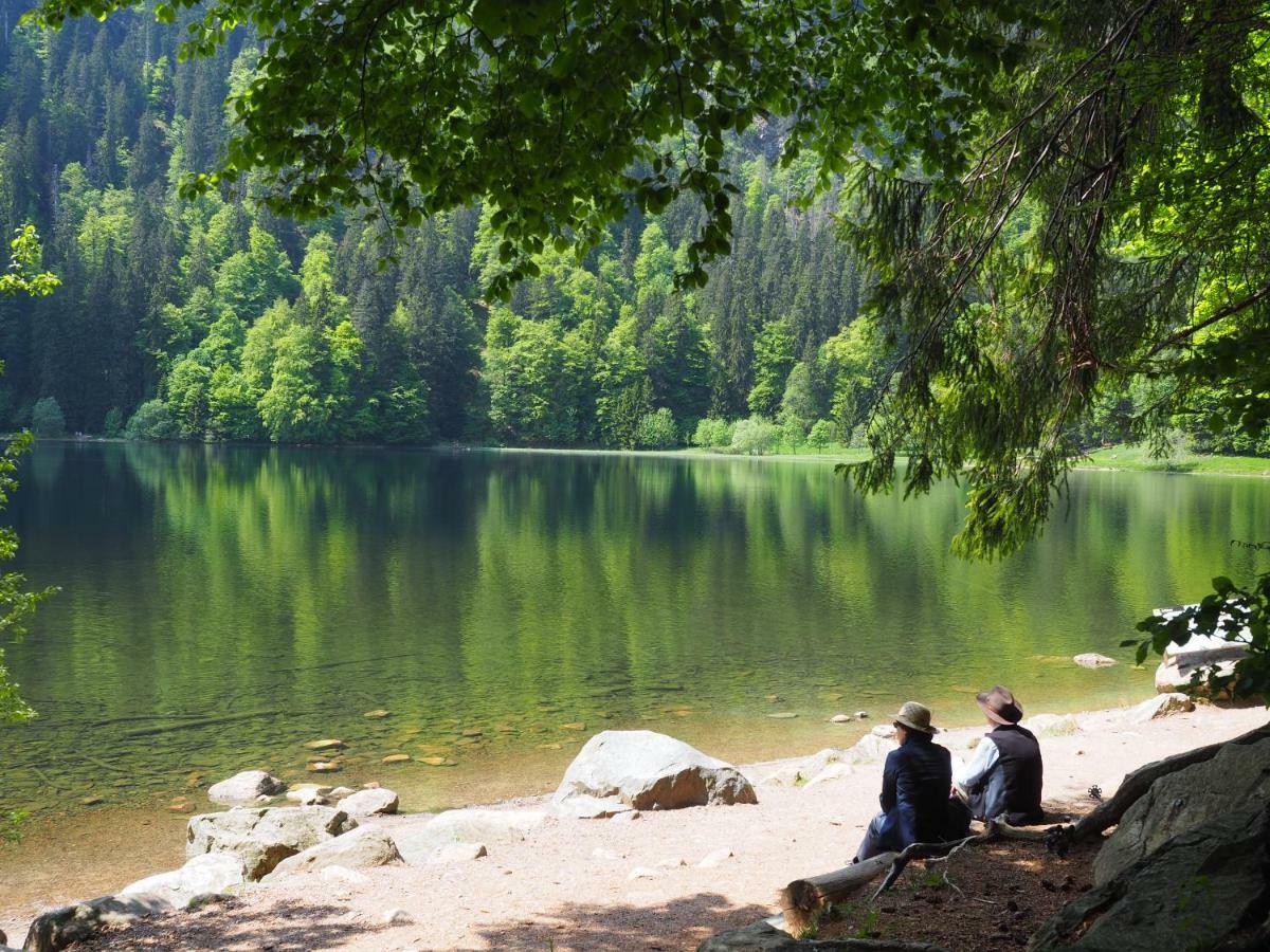 B1 Albmatte-Fewo Sauna, Hallenbad Aussenbecken Massagen Nebenan Menzenschwand-Hinterdorf Dış mekan fotoğraf