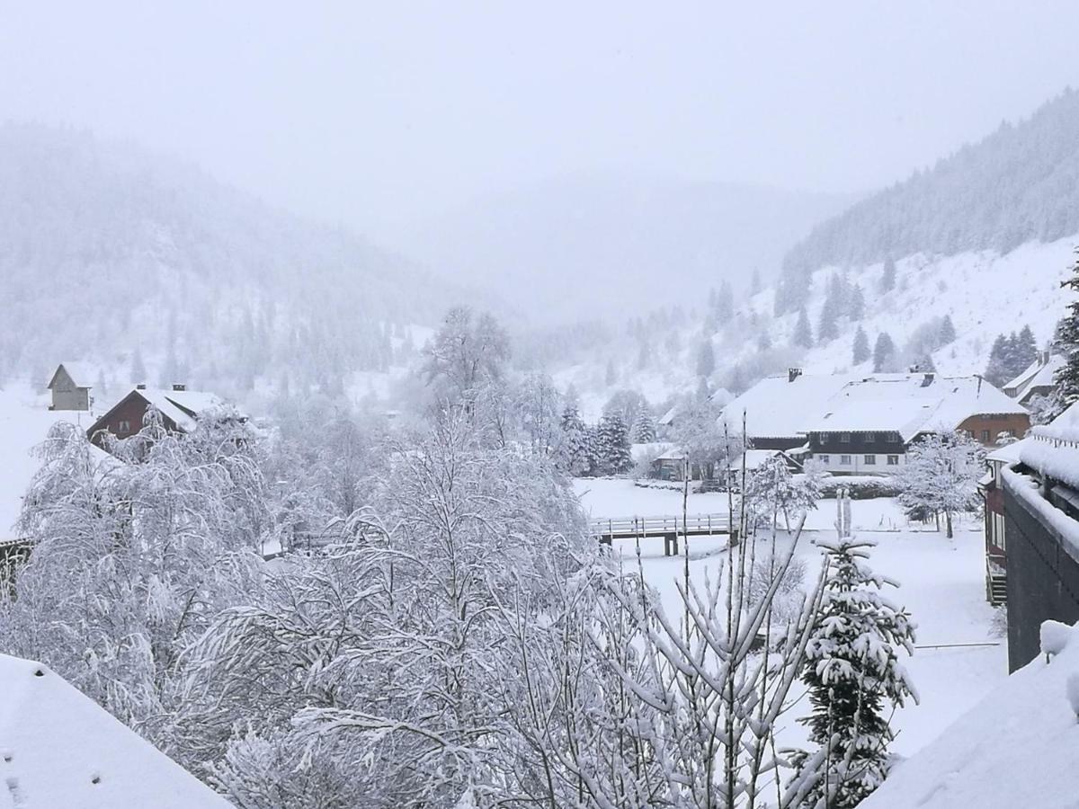 B1 Albmatte-Fewo Sauna, Hallenbad Aussenbecken Massagen Nebenan Menzenschwand-Hinterdorf Dış mekan fotoğraf