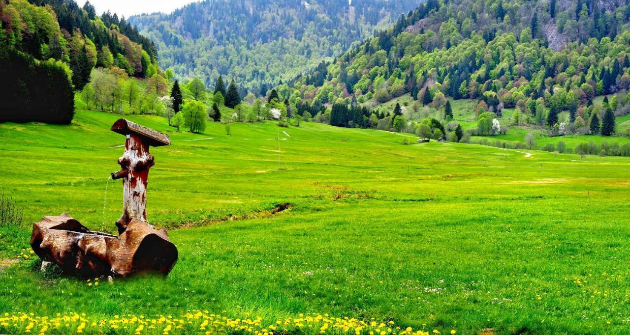 B1 Albmatte-Fewo Sauna, Hallenbad Aussenbecken Massagen Nebenan Menzenschwand-Hinterdorf Dış mekan fotoğraf